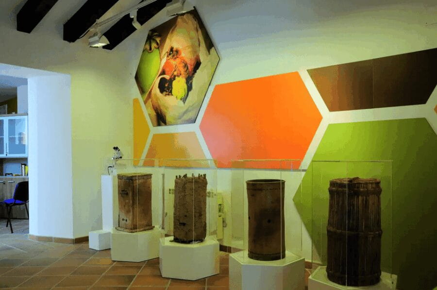 Malaga: Honey Museum Entry Ticket - The Highlights: What Youll Really Enjoy