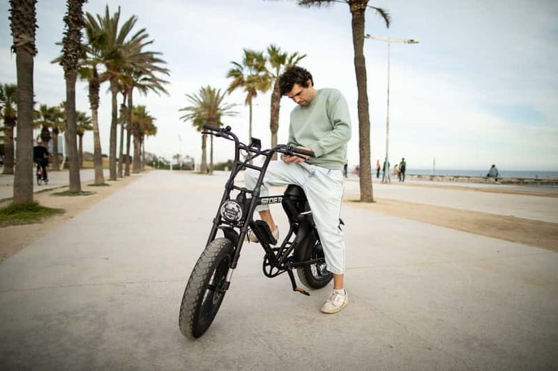 Málaga: Private Electric Fatbike Tour with Guide - What to Expect: A Day on Two Wheels in Malaga