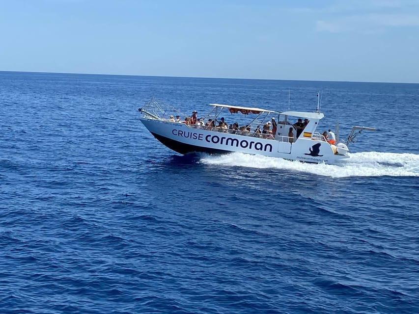 Mallorca: Caves, Cliffs, and Coves Boat Trip - Who Will Love This Tour?