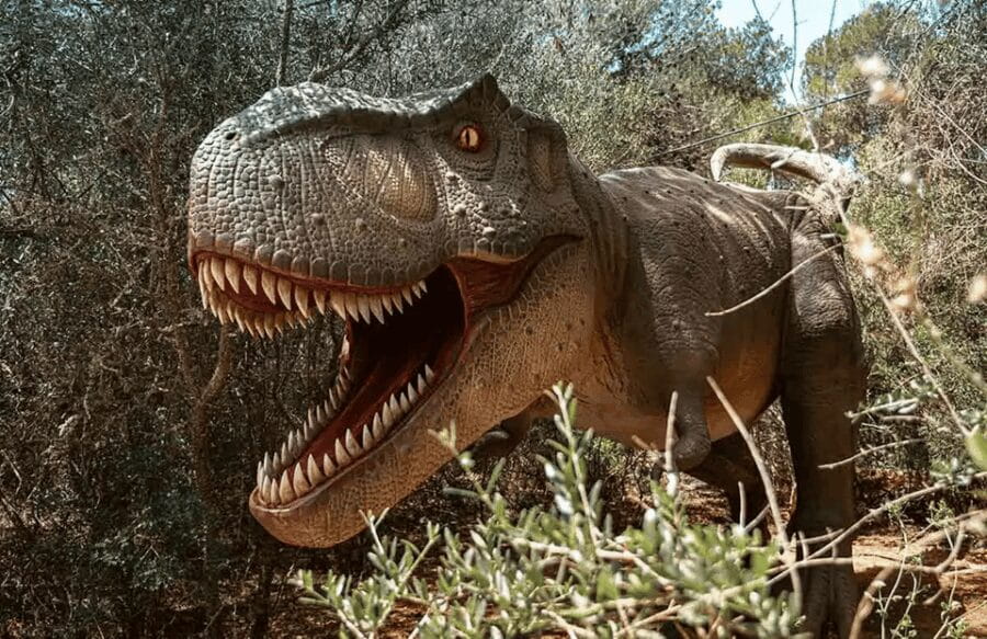 Mallorca: Dinosaurland Park, Hams Caves & Porto Cristo Tour - Who Should Consider This Tour?