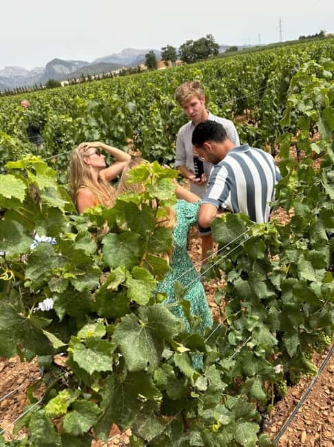 Mallorca: Exclusive wine tour with breakfast, wine tasting, and paella - Frequently Asked Questions