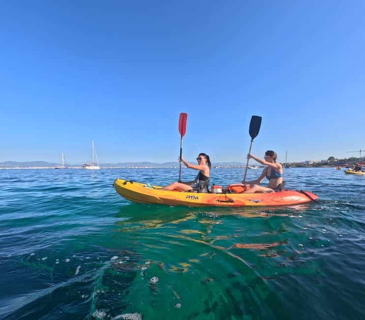 Mallorca: Kayak Rental - Who This Kayak Rental is Best For