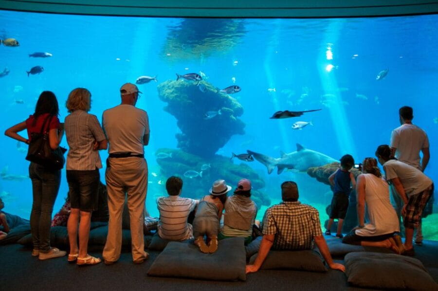 Mallorca: Palma Aquarium Tickets with Transfer - Detailed Breakdown of the Itinerary