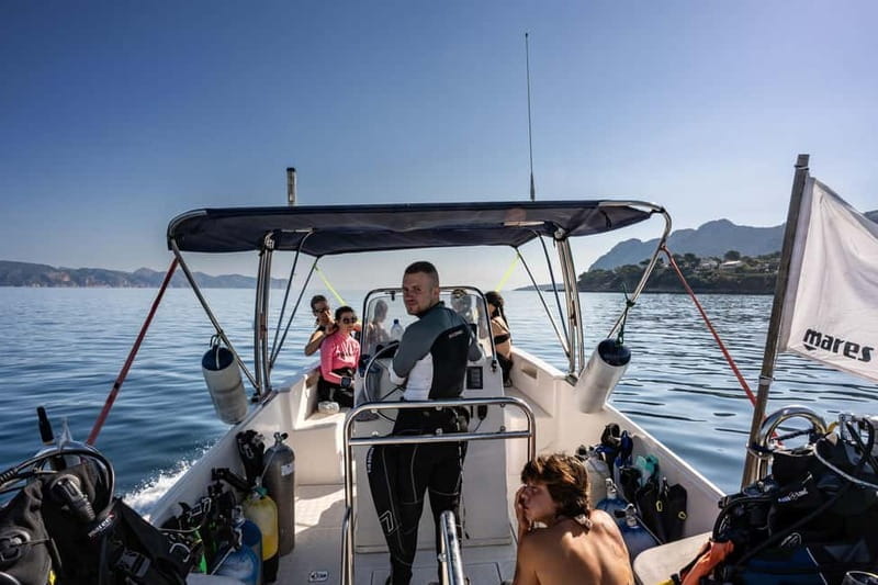 Mallorca: Scuba Dive Adventure Cap de Formentor - 1 dive site - The Value and Who This Tour Is Best For