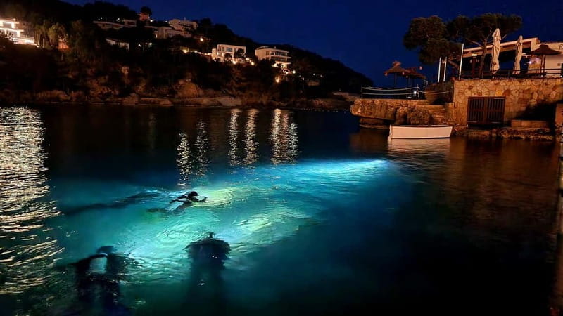 Mallorca: Scuba Diving for Beginners - Why This Experience Adds Value to Your Mallorca Trip