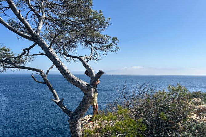 Mallorca Secret Coves Land Rover Private Tour - Navigating the Itinerary: What to Expect at Each Stop