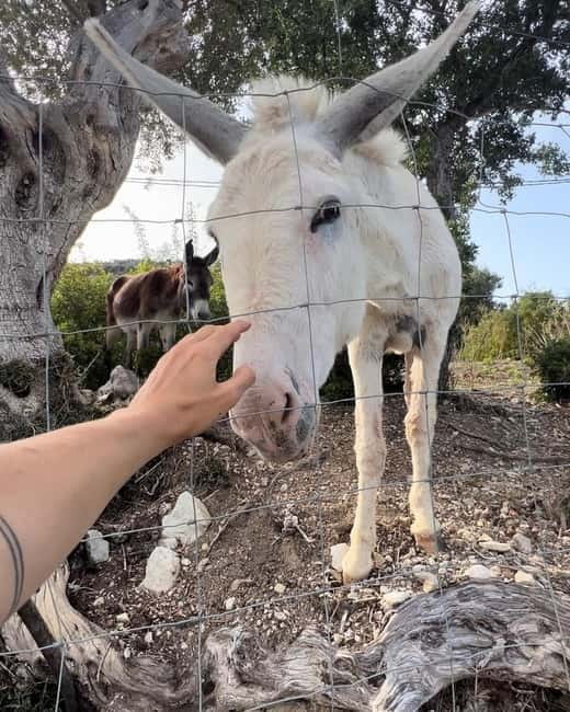 Mallorca: Self guided E-Scooter tour - Countryside - Exploring the Itinerary in Detail