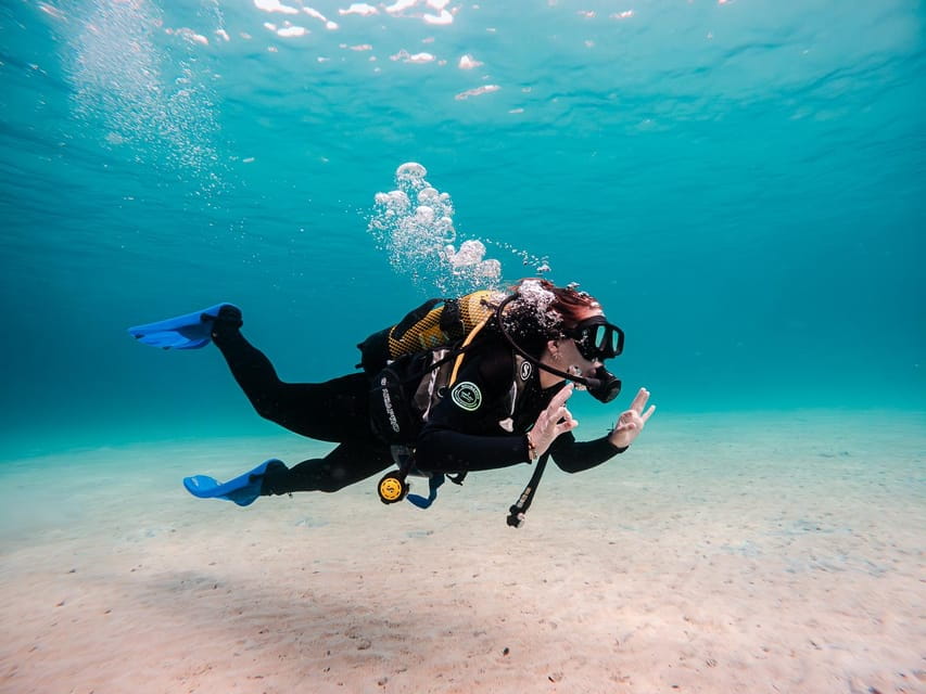 Mallorca: Try Scuba Diving by Boat - What Makes This Experience Stand Out?