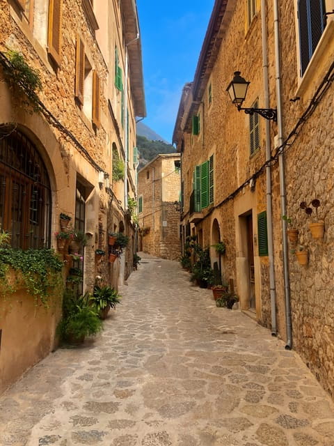Mallorca: Valldemossa Half Day Tour - Exploring the Details: What the Mallorca Valldemossa Half Day Tour Really Offers