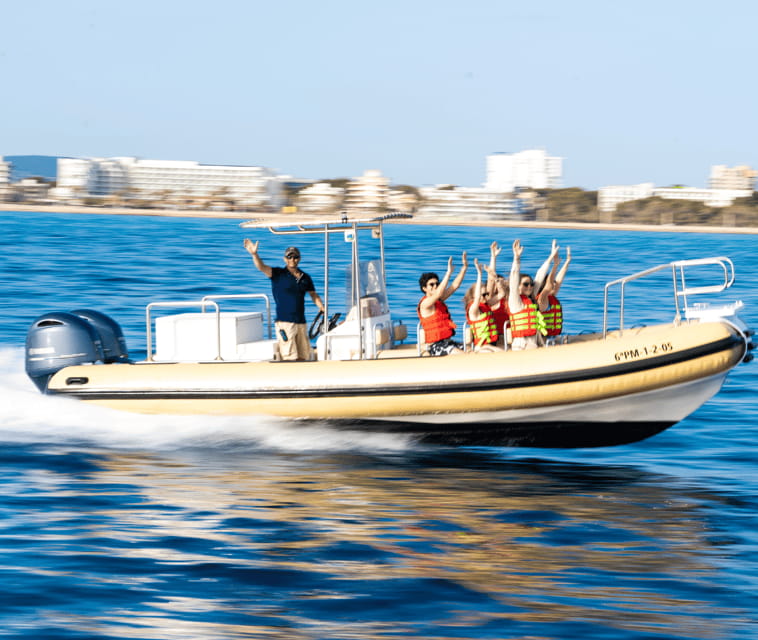Mallorca: Visit Palma Speedboat adrenaline & snorkelling - The 10-minute sightseeing cruise past Palma Cathedral