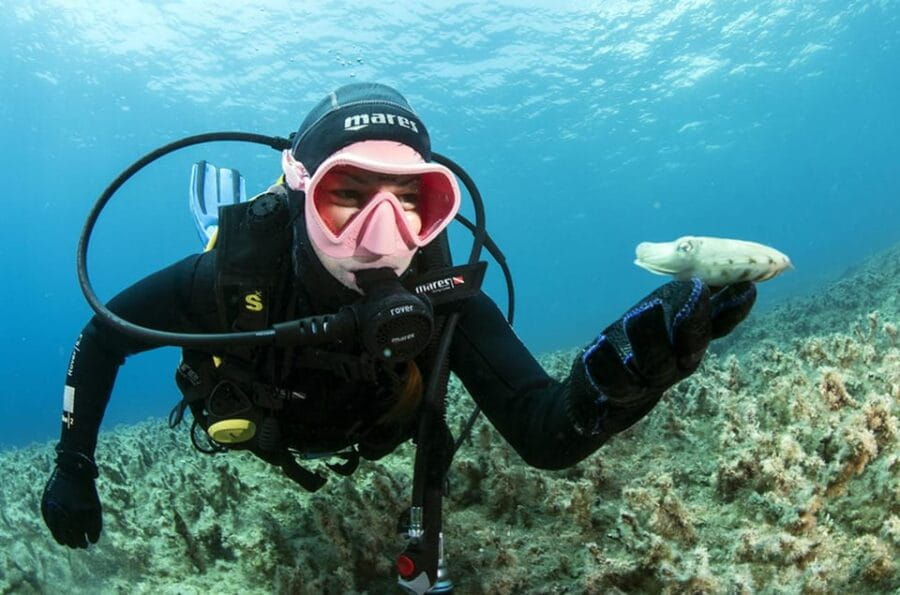 Malta: 1-Day PADI Scuba Diver Certification Beginner Course - The Sum Up
