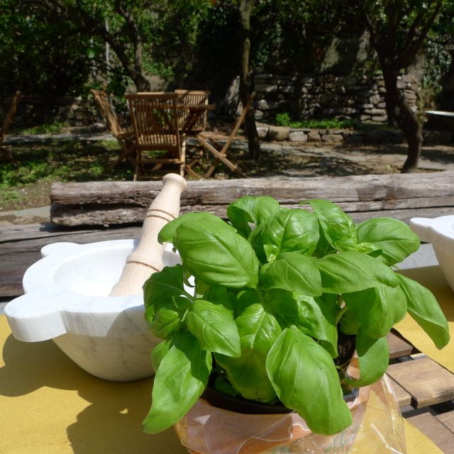 Manarola: Pesto Making Class with Tasting and Wine - Tasting the Fruits of Your Labor