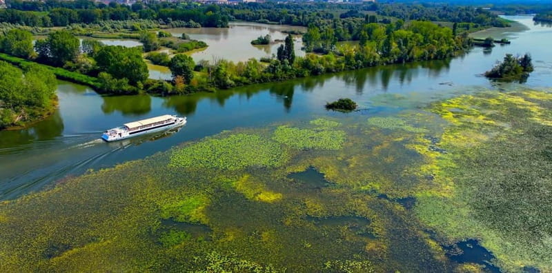 Mantua: Panoramic Cruise with Guide, Natural Oasis and Water Elevator - Exploring Vallazza Wetland: Nature in Motion