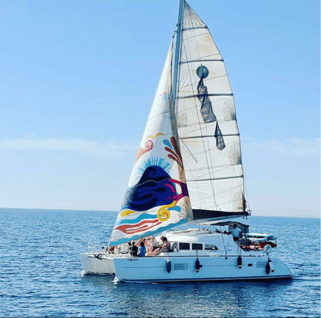 Marbella: Group Dolphin Watching Catamaran Tour with Drinks - What to Expect During Your Cruise