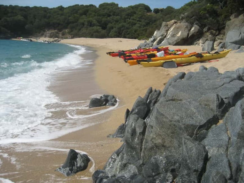 Mare e Sole Beach: Guided Kayak Trip - Discovering Corsica’s Best by Kayak: An In-Depth Review