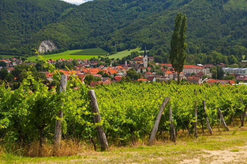 Maribor & Styria Tour with Wine Tasting - Entering a Region of Unmatched Scenic Beauty