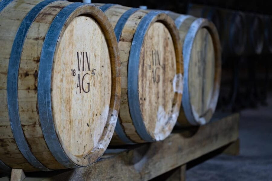 Maribor: Vinag Wine Cellar Tour with Wine tasting and snacks - Entering the Historic Cellar: What to Expect