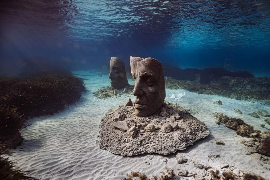 Marina Baie des Anges boat trip to the Pelagos Sanctuary - Price and Value: Is It Worth It?