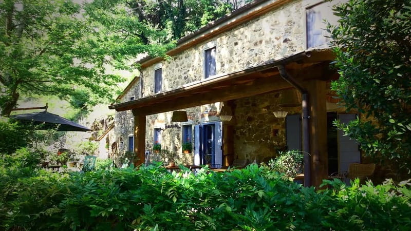 Marliana: Tuscan Olive Oil Tour with Dinner - Recognizing High-Quality Olive Oil