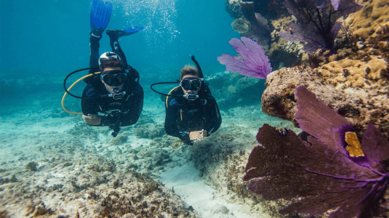 Marmaris: Scuba Diving Experience - What You Get for the Price
