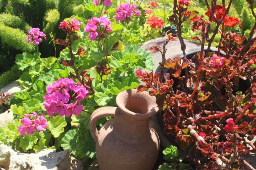 Marne: Champagne Region Private Day Tour with Lunch - Discovering the Heart of Champagne: An In-Depth Review