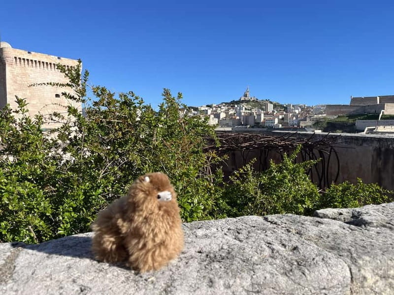 Marseille: Private Customised Walking 2-Hour Tour - Practical Details and What You Can Expect