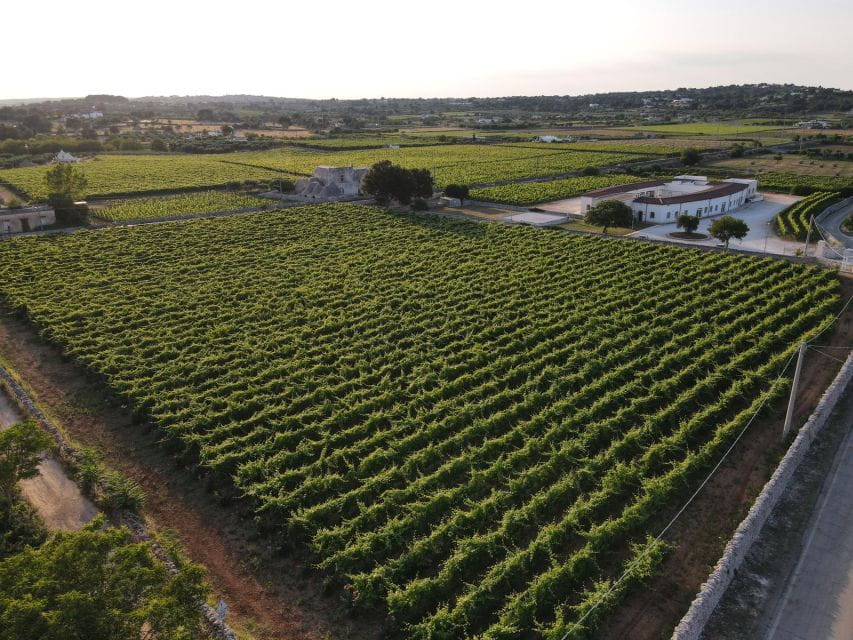 Martina Franca: Wine & Local Products Tasting - Who Should Consider This Tour?