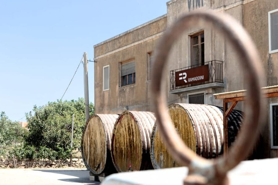 Marzamemi: Dioniso Wine Tour, Tasting & Typical Dishes - Analyzing the Value: Price, Duration, and Experience