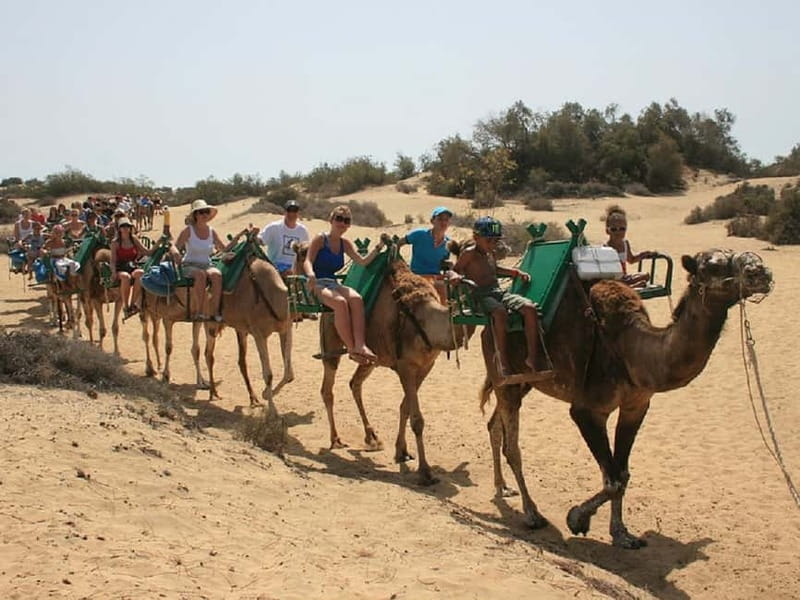 Maspalomas: 2-Seater E-Scooter Dunes Tour with Camel - Price and Value: Is It Worth It?