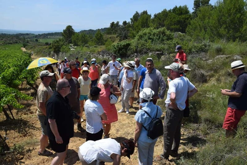 Massmamier La Mignarde : Wine Tasting - Sampling in the Historic Cellar