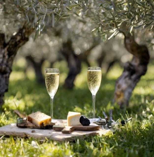 Matera: Aperitif Truffles and Champagne under the olive tree - Price and Value Analysis
