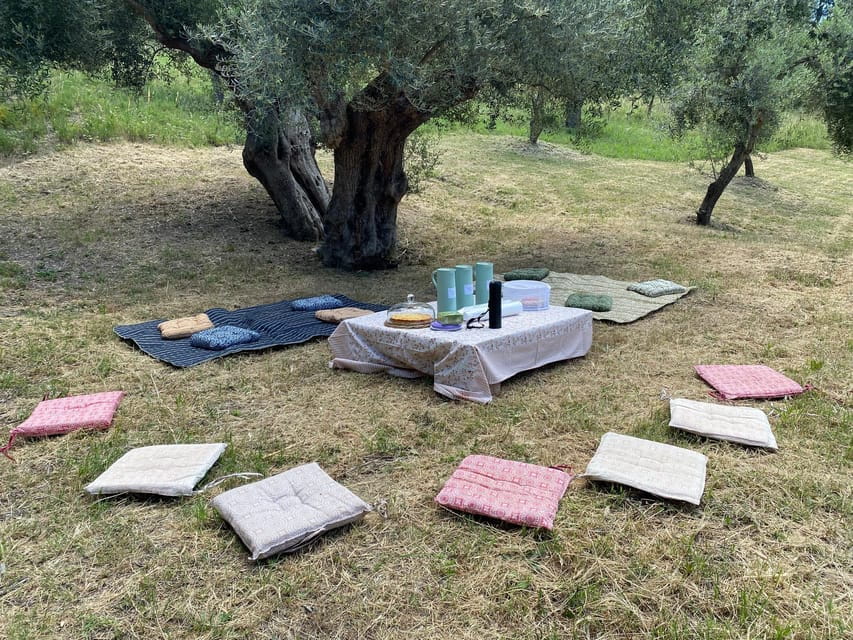 Matera: Pic-Nic under the Centuries-Old Olive Trees - Final Thoughts: Who Benefits Most?