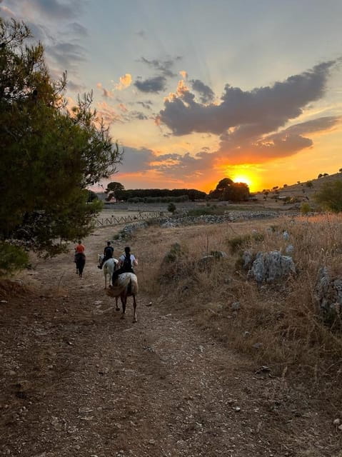 Matera: sunset horseback riding tour on Murgia - Exploring the Scenic Rewards
