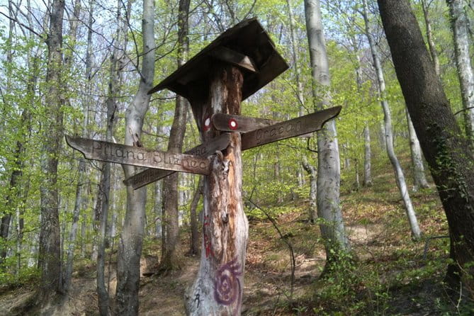 Medvednica Hiking and Chestnuts Picking Tour from Zagreb - Key points / Takeaways