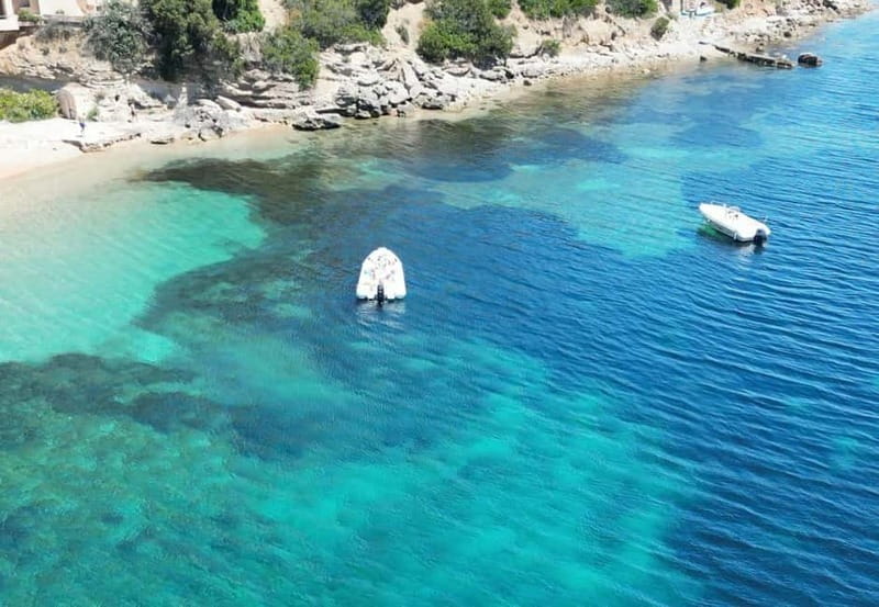 Meet the Dolphins Escursione in Gommone - RIB Excursion - Who This Tour Is Best For