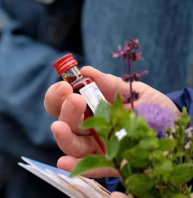 Meißen: Guided Walking Tour 'Romantic Evening Stroll' - The Atmosphere: Romantic, Peaceful, and Personal