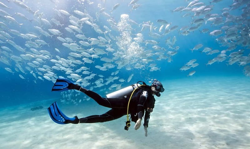 Mellieha: Introductory Diving Session in the Open Sea - Frequently Asked Questions