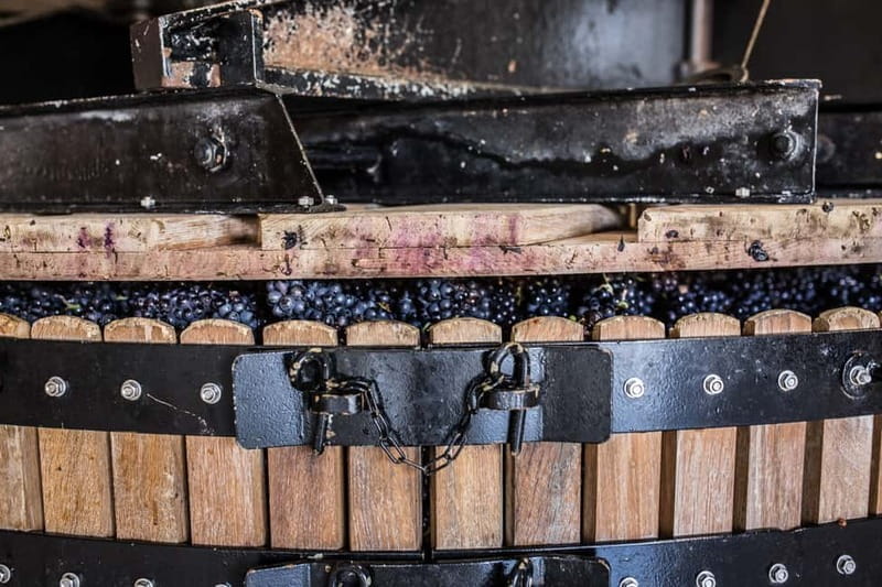 Meunier Champagne Experience tour - Passy-Grigny - Who Is This Tour Best For?