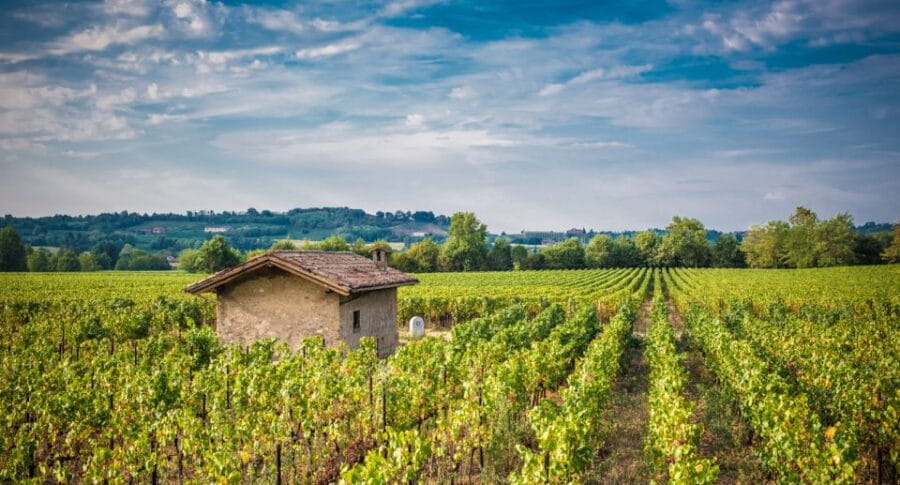 Milan: Franciacorta Winery and Bergamo Day Trip with Lunch - How This Tour Fits into Your Milan Visit