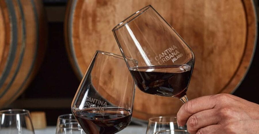 Milan: Wine Lovers Experience at Cantina Urbana Winery - The Taste of Milan in a Glass