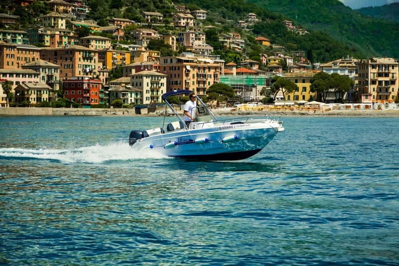 Mini boat tour - Price and Logistics: Getting the Most Out of Your Investment