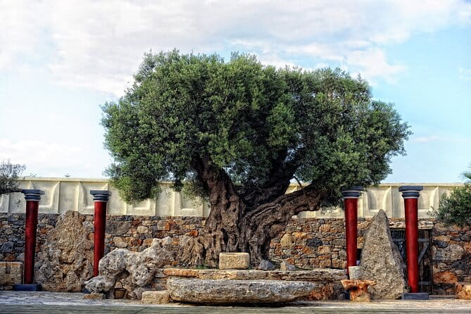 Minoan Day Experience - The Practical Side: Logistics & Value