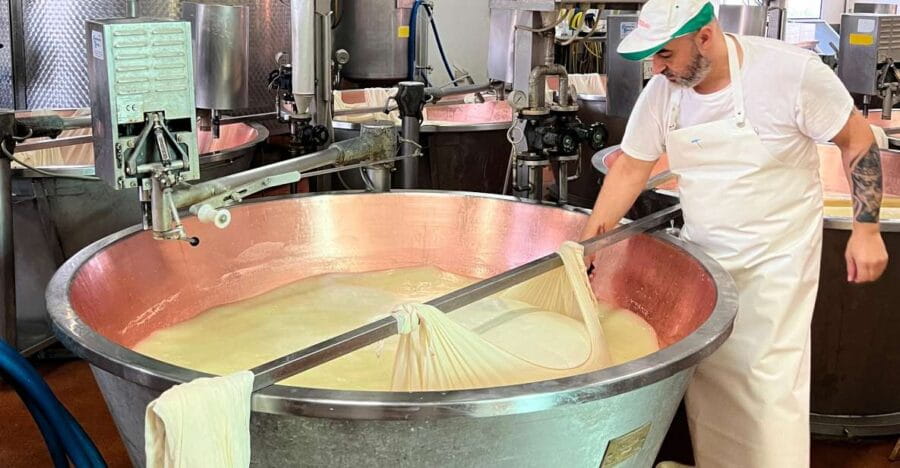 Modena/Bologna: Ferrari, Lambo, Cheese, Vinegar Tour w/Lunch - Parmigiano Reggiano Dairy Visit: The Creamy Heart of Emilia-Romagna