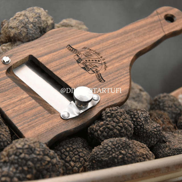 MOLISE TRUFFLE HUNTING WITH FOOD TASTING - Entering the World of Truffles: An Honest Look at the Experience