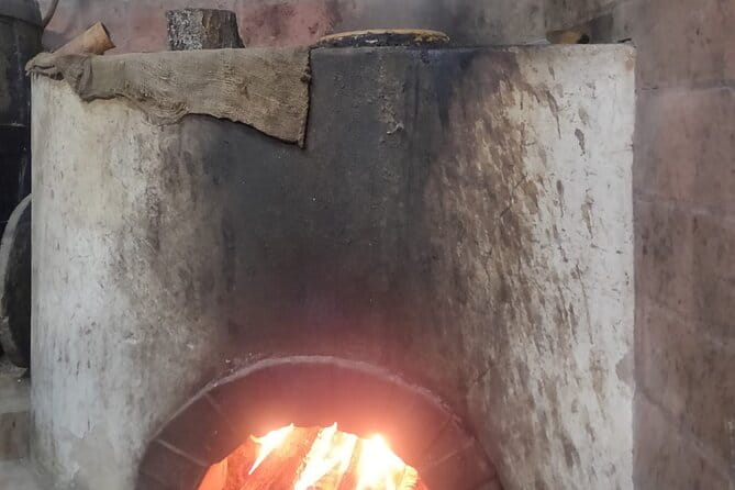 Monchique Hills & Flavors - Final Thoughts