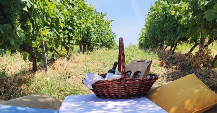 Monferrato: Garetto Wine Estate Tour and Picnic Private - Getting a Feel for the Cellar and Tasting Experience