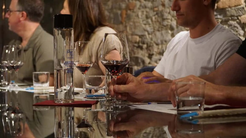 Monforte d'Alba: Wine and Chocolate Tasting Experience - A Walk Through the Vineyard and The Winery