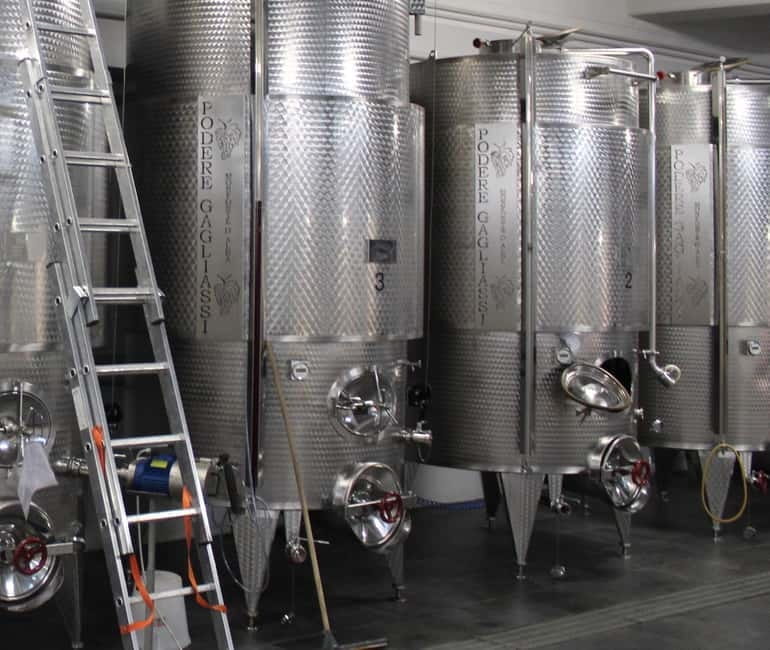 Monforte d'Alba: Wine Tasting, Cellar Visit, and Vineyard Tour - First Step: Walking Through the Vineyards