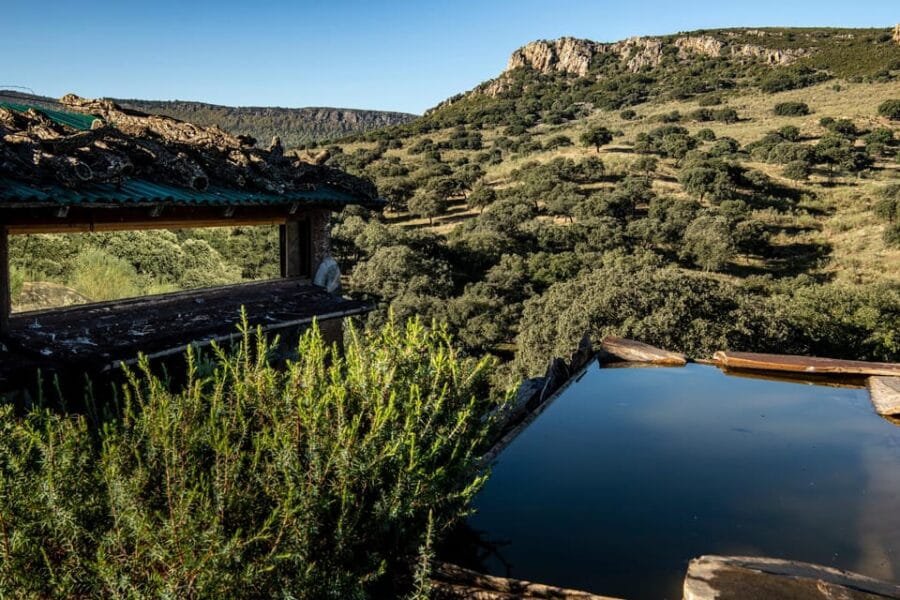 Monfrague Wildlife Experience: Vultures Close-up - The Scenic Dehesa: Nature’s Quiet Corner