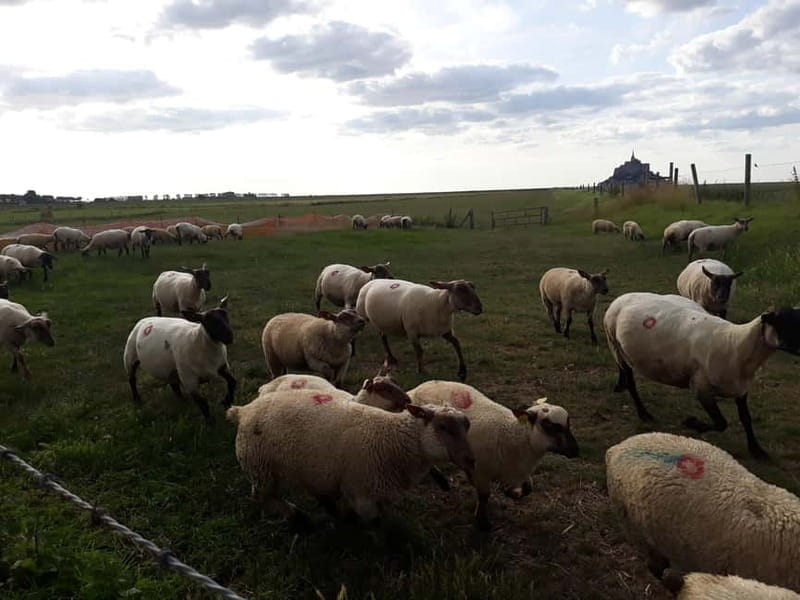 Mont-Saint-Michel: Abbey and Village Guided Tour - The Abbey: A Majestic Architectural Tapestry